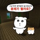 알렉산더왕신세계 | 알렉산더왕 슈렁큰 폴로 탑 후기 / 리뷰