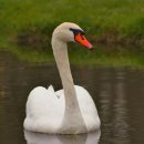 혁 목장 이미지