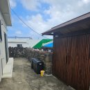 월옥 | 제주느낌 물씬 월정리펜션 월옥에 다녀온 후기🗿🍊