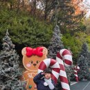 비연무예태권도 이미지