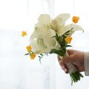 설악웨딩타운(주)