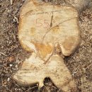 은평-055 이미지