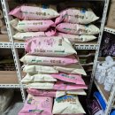 화북동 주민센터 이미지