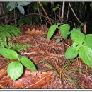 횡성휴게소(상) 이미지