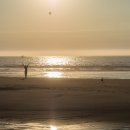 The Sun Salutation 이미지
