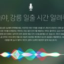 바이빙 이미지