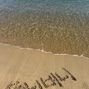 쭈니와비니 이미지