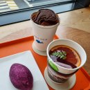 예쁘다. 하조대 | 양양, 내돈내산 오션뷰 서퍼비치카페 '예쁘다하조대' 시그니처 돌핀커피 후기