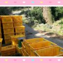 아토농장 이미지