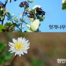 좋은나무식품 CNB뉴스