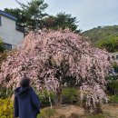 땅뫼산산책로변 공중화장실 | 3월 부산여행 : 부산 가볼만한곳 : 금정구 회동수원지 둘레길 (오륜동 갈맷길)