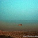 해남일번지 이미지