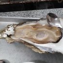 나루터재첩벚굴