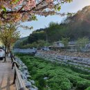 교동1길(고작) | 전주 한옥마을 스물다섯스물하나 촬영지 뚜벅이로 느끼는 청춘갬성~!