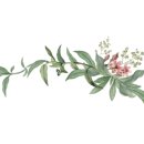 스튜디온 이미지