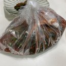 자매돌산갓김치 | 여수 갓김치 택배, 돌산 세자매 갓김치 후기