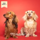 삼육사로26 이미지