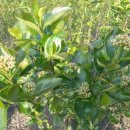 청성농장 이미지