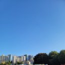 현대자동차학원