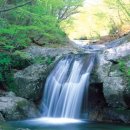 칠연식당 이미지