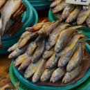 정비뇨기과의원 이미지