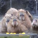 동산파크 이미지