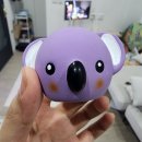 아꼬아 펫 살롱 이미지