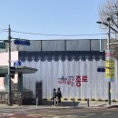 청계천 | 서울 관광지 근교 피크닉 나들이 청계천 솔직후기