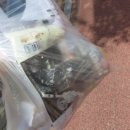 민들레화원 이미지