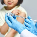 하나동물종합병원 이미지