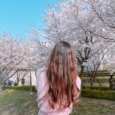 세림메디칼 | 부평보건소 보건증 대신 부평 프라임 메디컬 의원에서 가능! + 공무원 채용신체검사 빠르게 받은 후기!