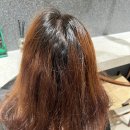 도연헤어 네이버블로그
