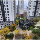 금터공인중개사 이미지