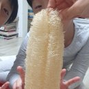 위앤드보니 이미지