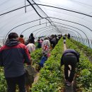 옥종농장 이미지