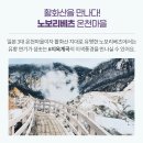 차문화공방1972가을 | 9월10월 여행적기 일본여행추천! 홋카이도 3박4일 노옵션 패키지