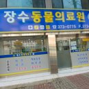 장수동물의료원 네이버블로그