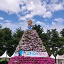 유성온천주유소 이미지