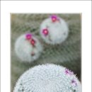 호수공원6로 이미지