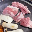 제주부리는돼지 이미지