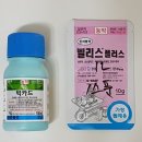 계양농약사 | # 반려 식물 _ 리톱스 키우기 무름병 곰팡이 예방 농약 살포하기 후기 일지 기록
