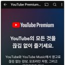 유튜브 무료체험 2개월 후기 자동결제 등록