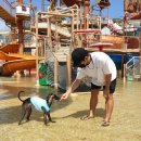 우리파크 이미지