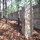 회덕초교 이미지