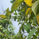 중부농장 이미지