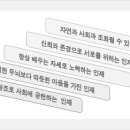 한국니토옵티칼(주) 이미지