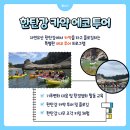 에코투어