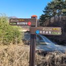 토황민박 이미지