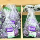 평온 제2농장 이미지