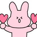 화곡면 멸치국수 이미지